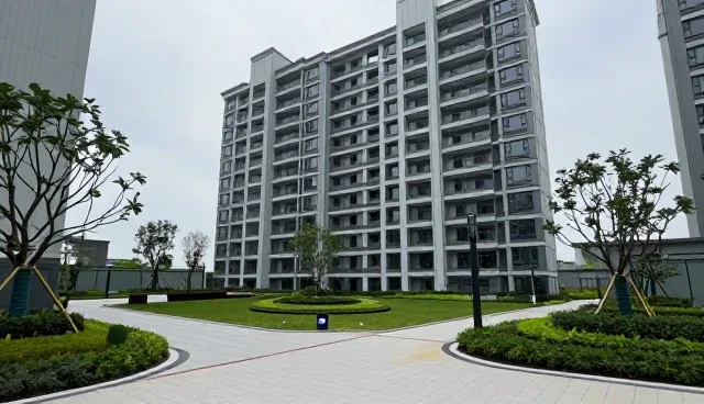 网络建站:如何通过H5网站开发定制提升企业采购需求